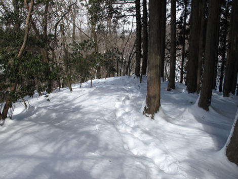 20140211hike (171)